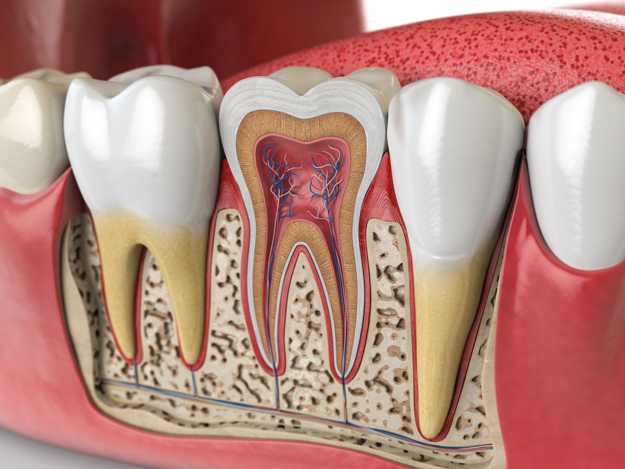 Root-Canals-scaled-1